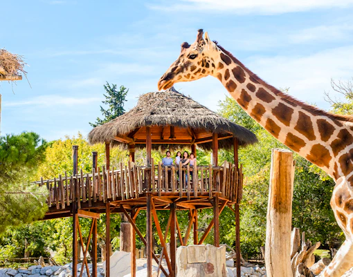 Entradas Parque De Atracciones De Madrid Sin Filas entradas-parque-de-atracciones-de-madrid-sin-filas